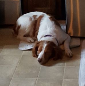 Meet your Posher, Joann